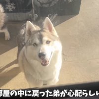 赤ちゃんの様子を見にきました