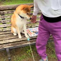 コタロウくんを促すおじいちゃん
