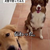 喧嘩は食い止めた♪