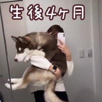るい君の成長記録4
