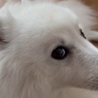 凛とした表情が素敵！