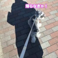 「帰る！」とUターン
