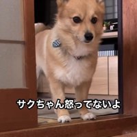 落ち着かない様子で待機