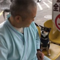 入院中のおじいちゃんと見つめあう黒柴の子犬