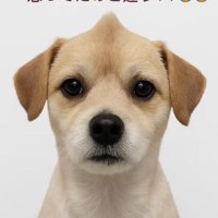 さっぱりしすぎちゃった…？