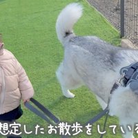 笑顔で犬の散歩をする女の子