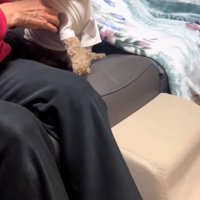 茶々丸くんを押すおばあちゃん