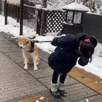そのたびにマイケル化♪