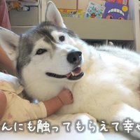 お互いに癒しあうという2人