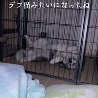 はまちちゃんの成長記録8