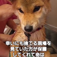 すぐに体をキレイにしました