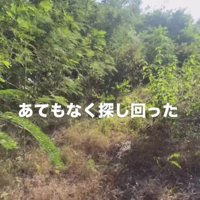 人間に怯えて隠れてしまった