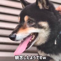 「捕まっちゃった～…」