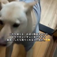 飛びついて歓迎♪