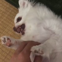 「また僕を置いて行くつもり！？」