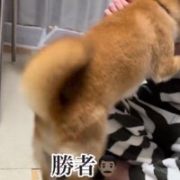 この日の勝者はパパ