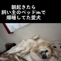 朝イチでこの寝顔が見れる幸せ