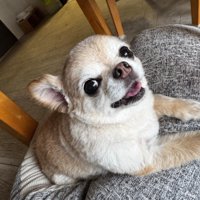 笑顔が可愛い♡