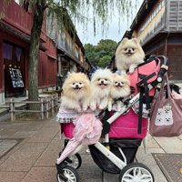仲良し