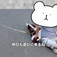 親方が好きなりっかちゃん