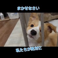 「絶対に幸せにする」