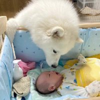 ふたりにしか分からない会話