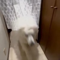 ダッシュで玄関へ！！