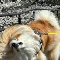 今度は歌舞伎のワンシーン？