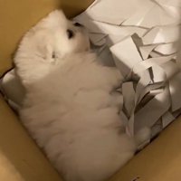ようやく目を開けた
