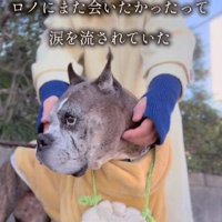 「また会いたかった」