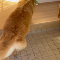お手伝いするホット君6