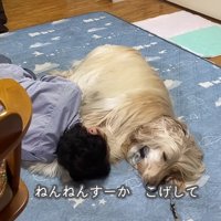 帰りたくなくなってしまった