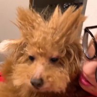 可愛すぎる寝癖にホッコリ