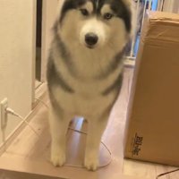 もちちゃんがいた！！