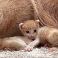 ウトウトして…