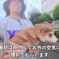 初めてのお散歩に挑戦