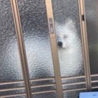 シュールな光景にホッコリ♡