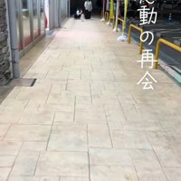お迎えに来た柴犬