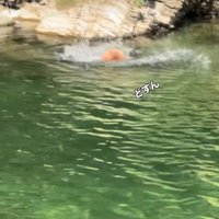 勇気を振り絞った