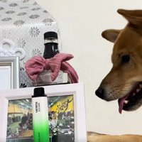 寂しそうな表情に