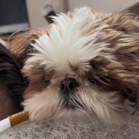 優しい判断にホッコリ