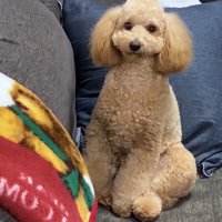 長めのお耳が可愛いロアくん