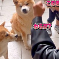もう一度確認するも…