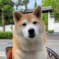 実は