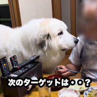 再び食卓へ