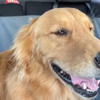 ウキウキな姿が可愛い♪