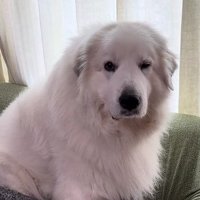 愛あふれるワンシーンでした！