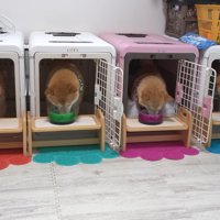 仲良く並んでお食事♪