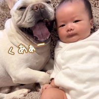 ポトフちゃんが大きなあくび