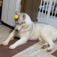 まさかの